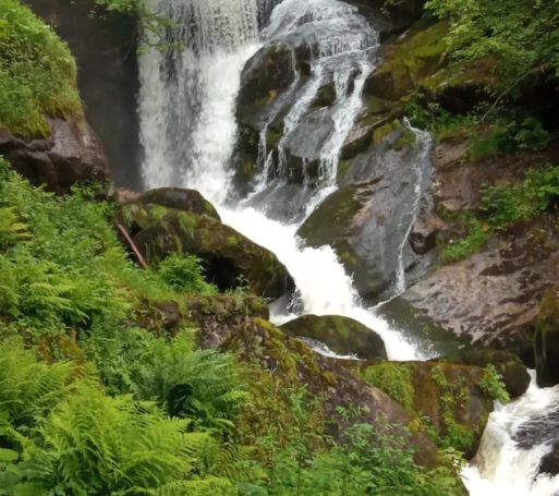 Triberger - Wasserfälle